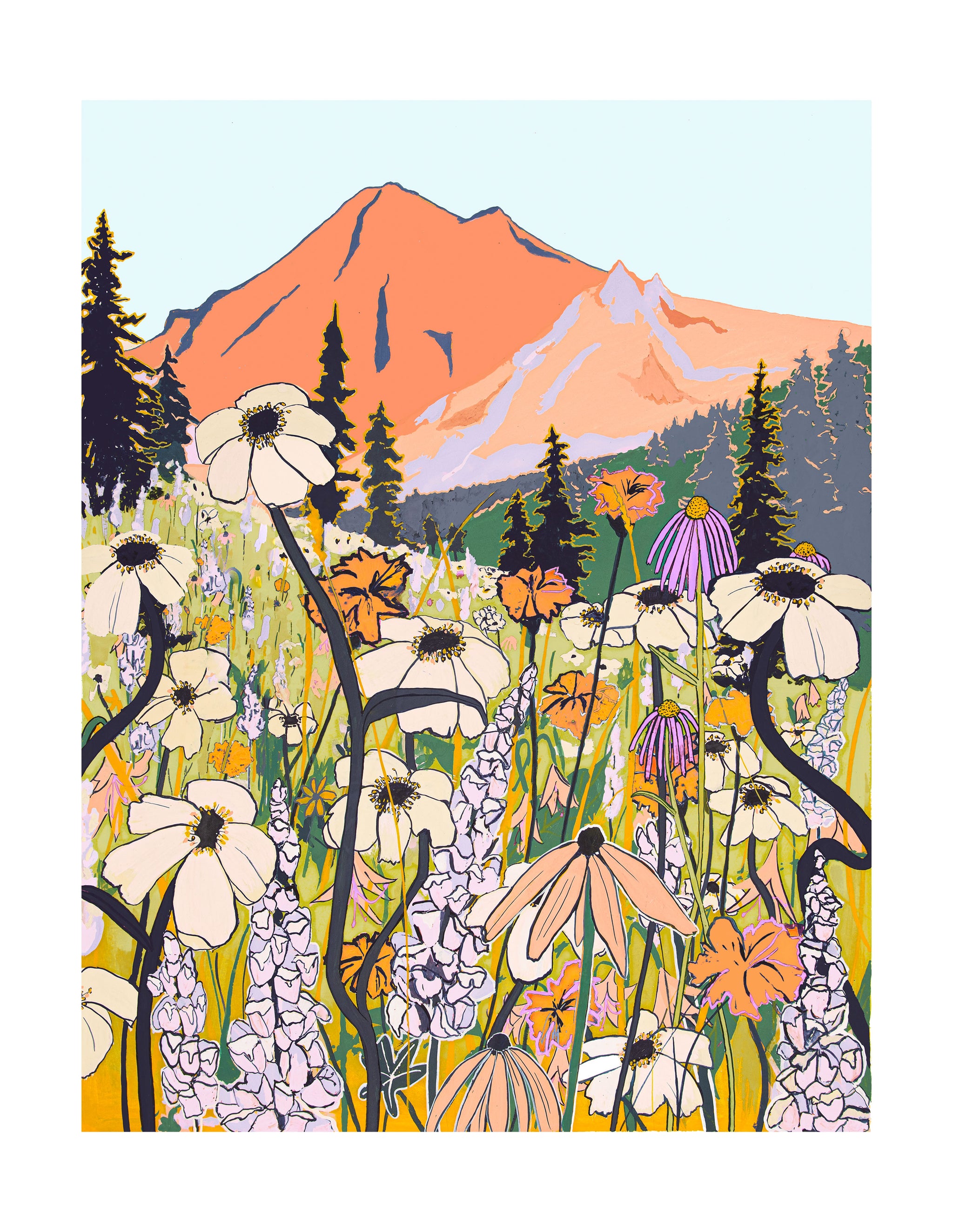 WildflowersMtBakerorange_2048x